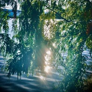 Meet your Posher, Ella